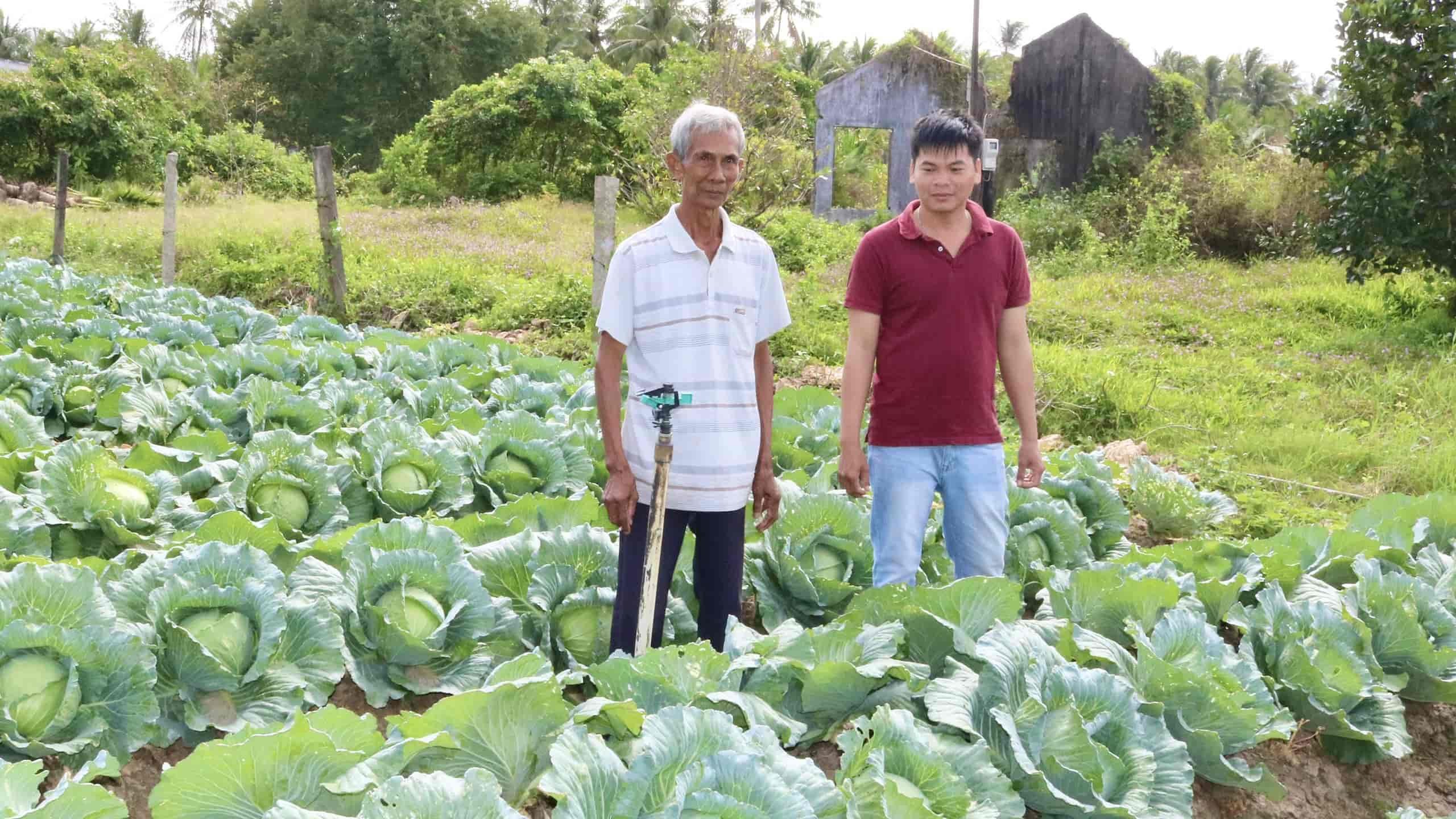 Kinh tế phát triển, đời sống người dân xã Tiểu Cần ngày càng được nâng cao
